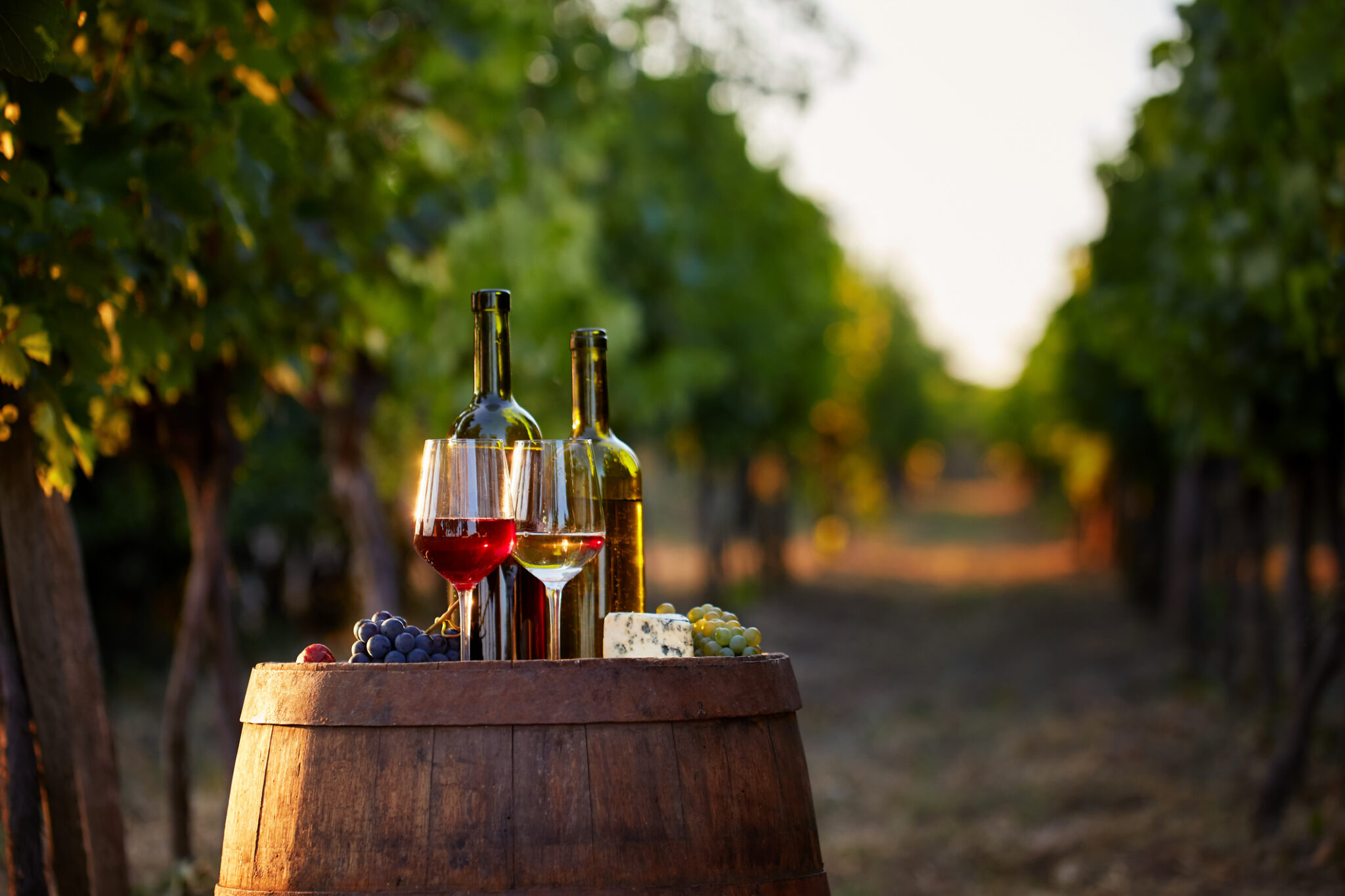 Farm wineries and vineyards tax credit, VIrginia CPA firm