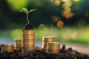 Not-for-Profit Endowment Fund Considerations | Keiter CPAs